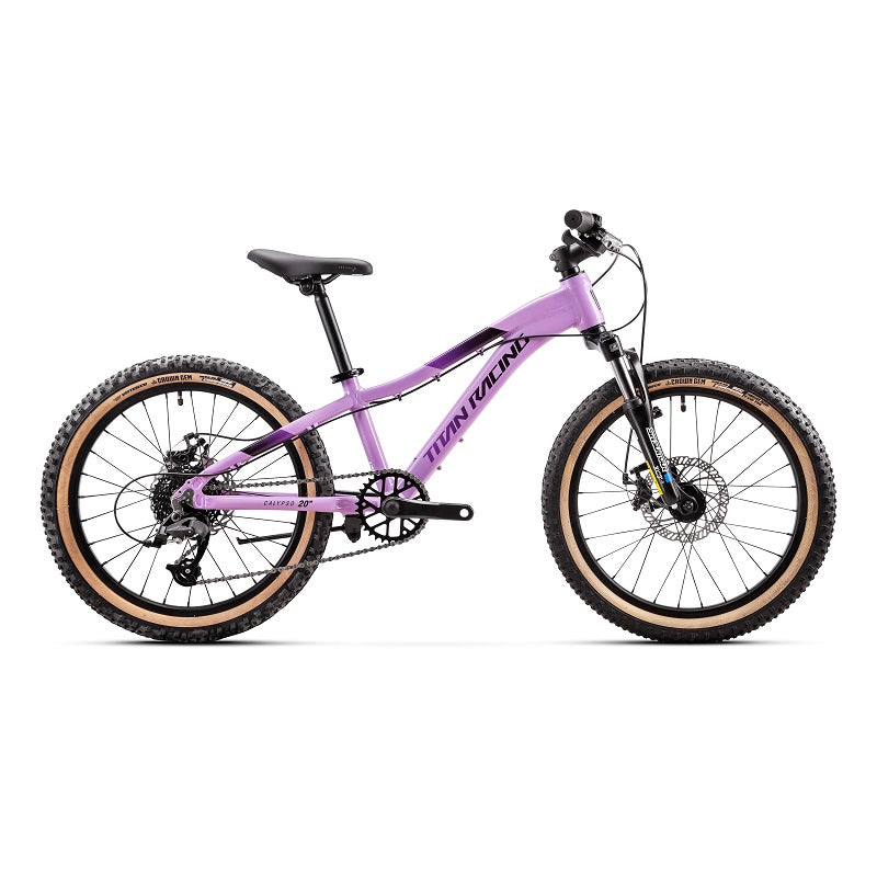 Titan 20 inch bicycle sale