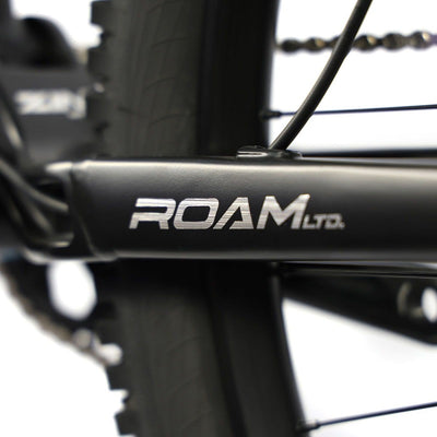 ZINI Roam (2025)