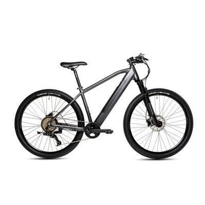 AVALANCHE MTe E-Bike Charcoal / Black (2023)