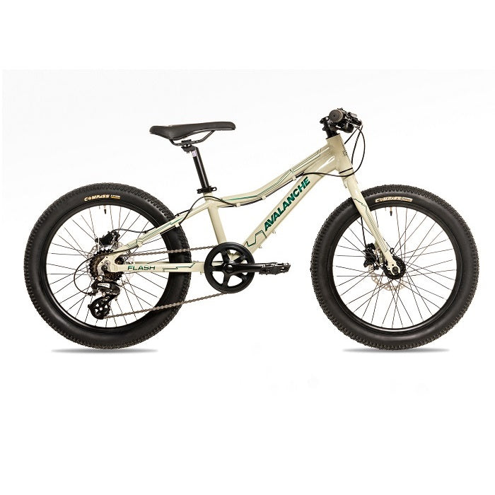 AVALANCHE Flash 20" Disc (2024)