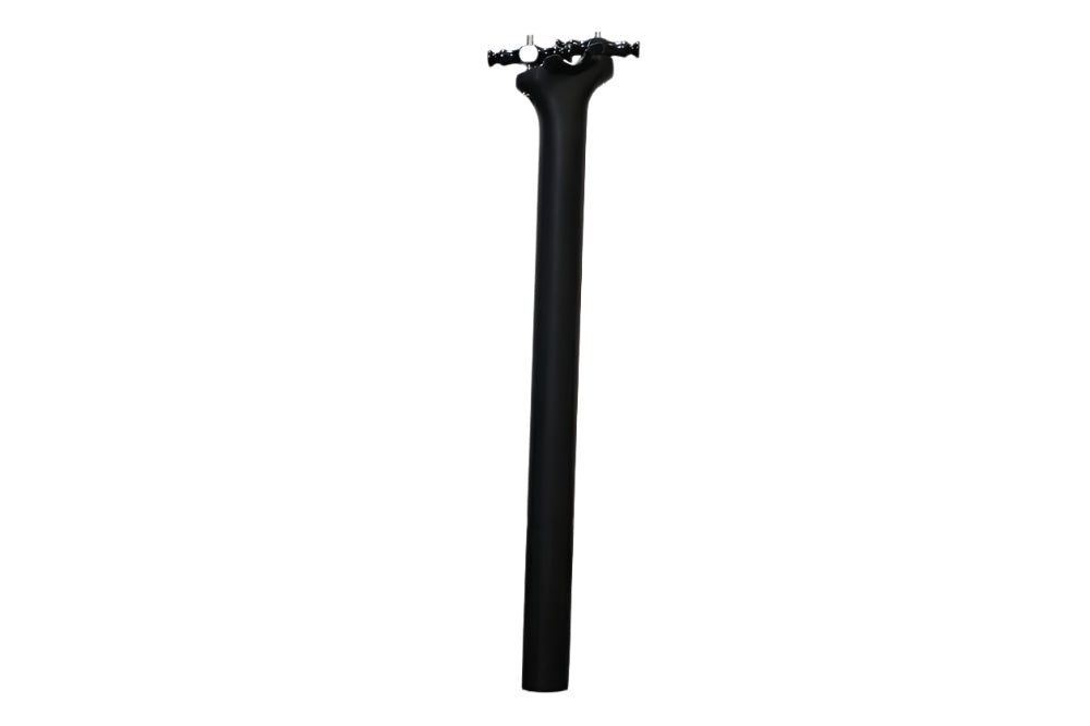 TITAN Carbon Seatpost (OEM)