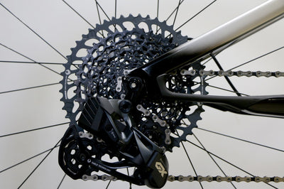 CANNONDALE Scalpel Carbon Custom