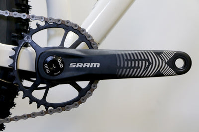 TITAN RACING Cerberus Dash Large (Custom)