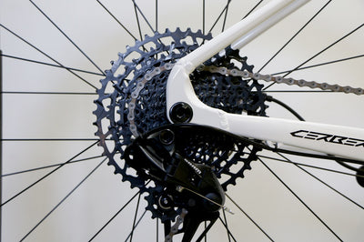 TITAN RACING Cerberus Dash Large (Custom)