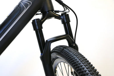 AVALANCHE MTe E-Bike (2024)