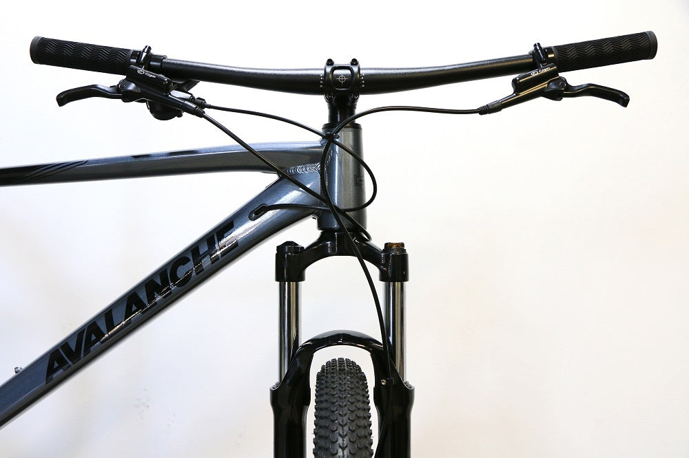 AVALANCHE Reflex 29er Sport (2024)