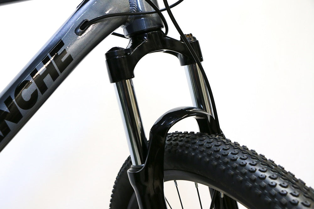 AVALANCHE Reflex 29er Sport (2024)