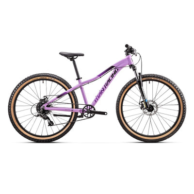 TITAN Calypso 26" Disc (2024)