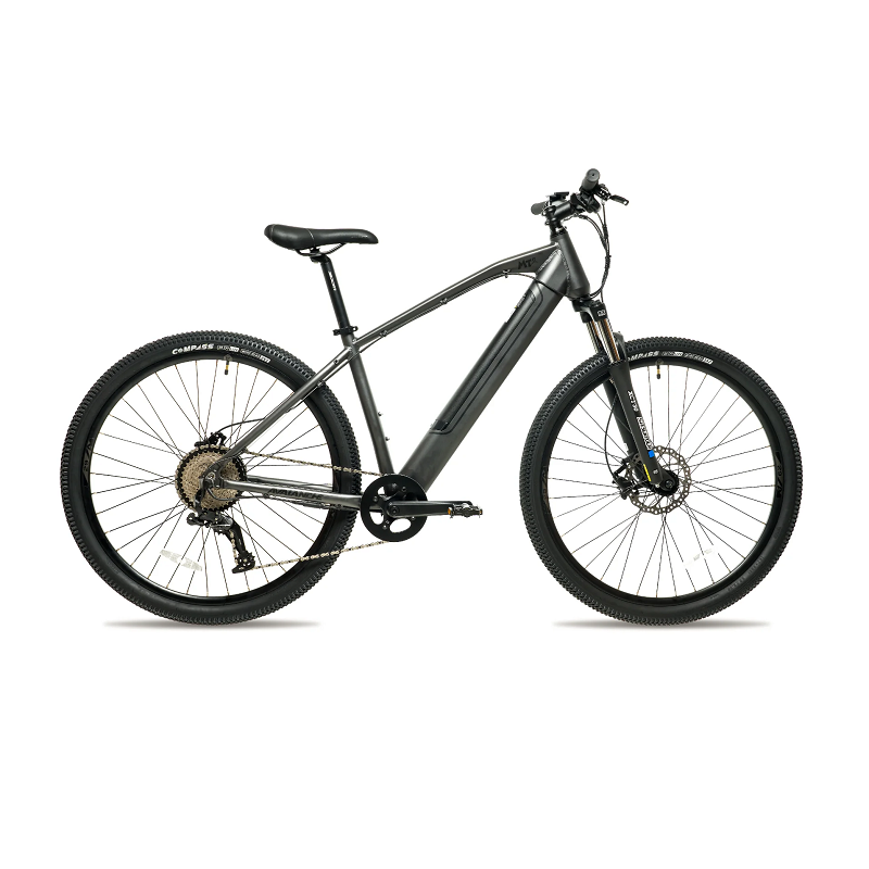 AVALANCHE MTe E-Bike Charcoal / Black (2022)