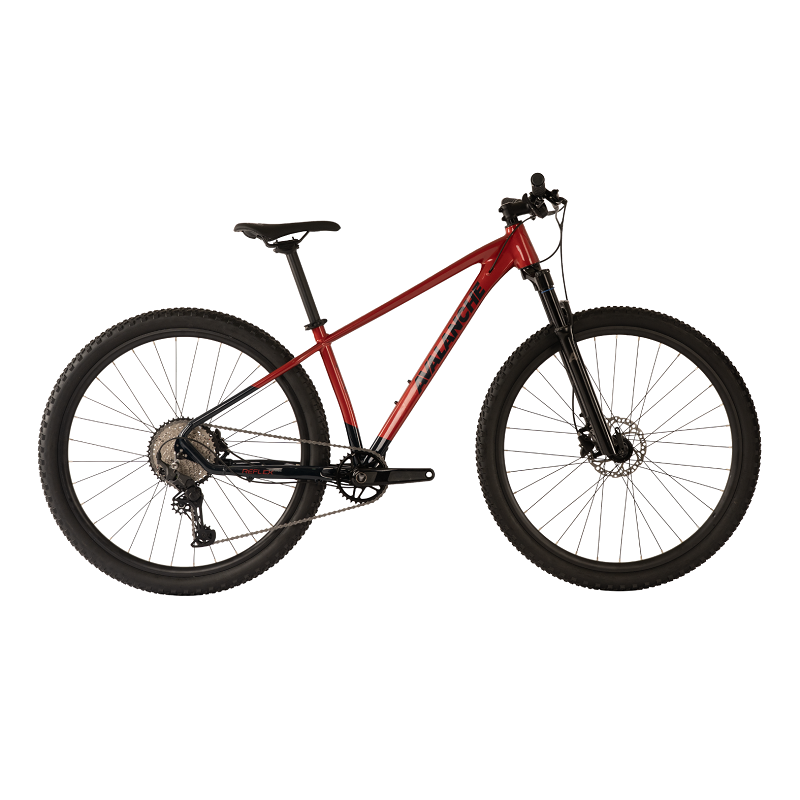 AVALANCHE Reflex 29er Team (2026)