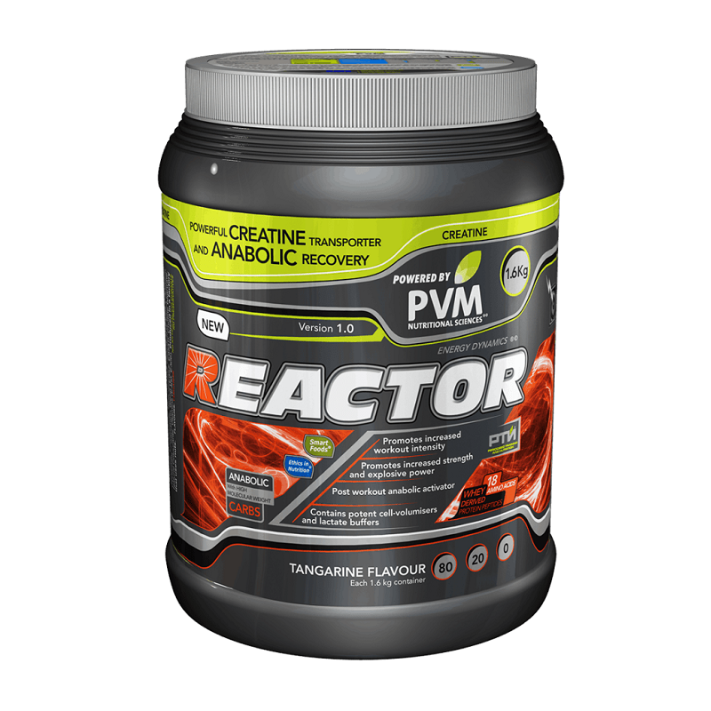 PVM Reactor