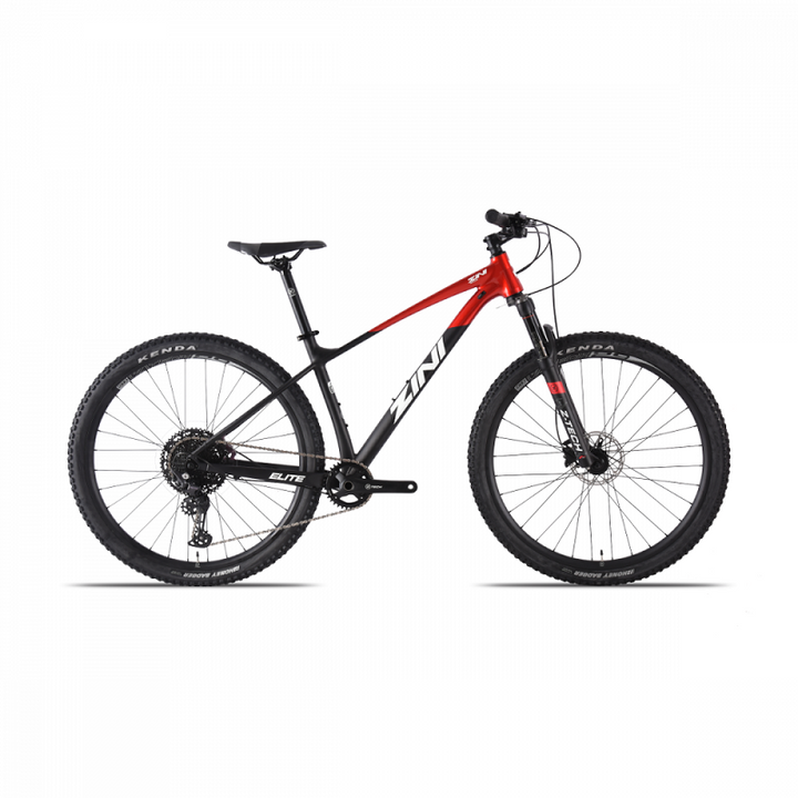 ZINI Z29 Elite (2023) – Bike Addict
