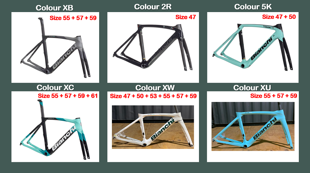 BIANCHI Oltre XR4 CV Disc Brake Frame Bike Addict